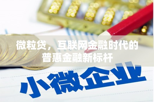 雅江微粒贷，互联网金融时代的普惠金融新标杆
