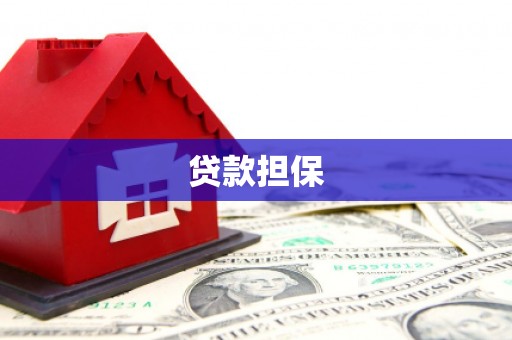 雅江贷款担保