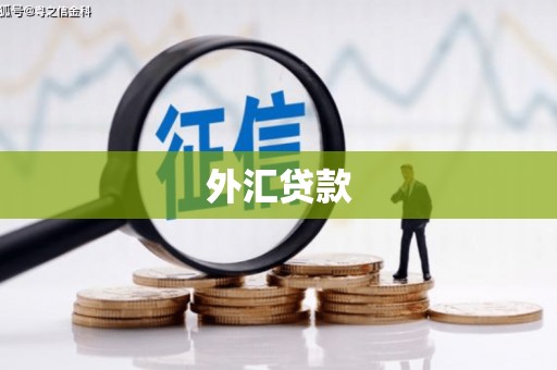 雅江外汇贷款