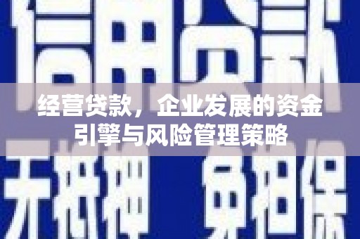 雅江经营贷款，企业发展的资金引擎与风险管理策略