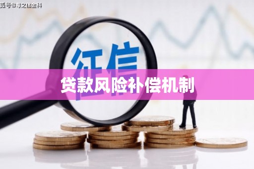 雅江贷款风险补偿机制