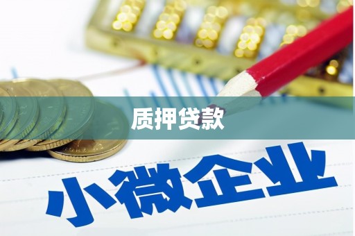 雅江质押贷款