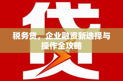 雅江税务贷，企业融资新选择与操作全攻略