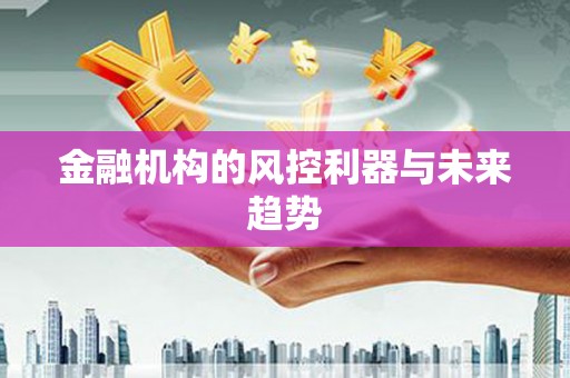雅江金融机构的风控利器与未来趋势