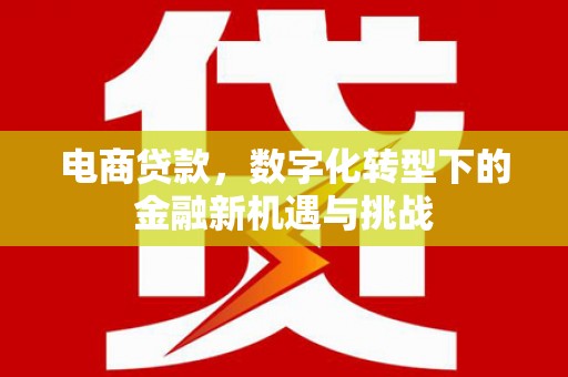雅江电商贷款，数字化转型下的金融新机遇与挑战