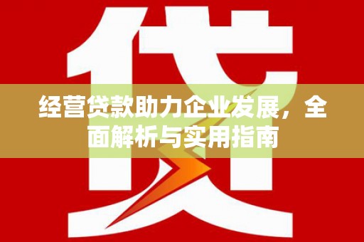 雅江经营贷款助力企业发展，全面解析与实用指南