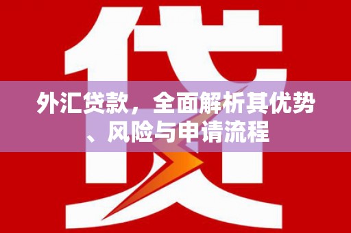 雅江外汇贷款，全面解析其优势、风险与申请流程