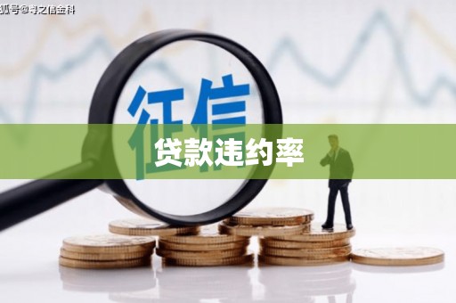 雅江贷款违约率