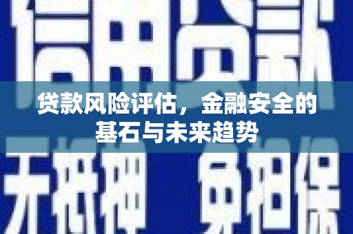 雅江贷款风险评估，金融安全的基石与未来趋势