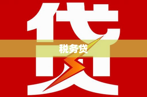 雅江税务贷