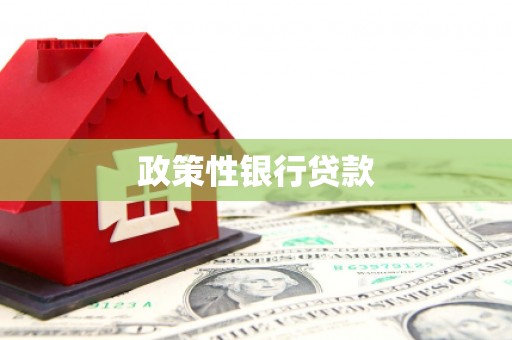 雅江政策性银行贷款