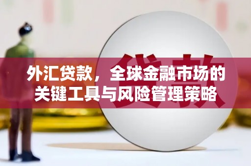 雅江外汇贷款，全球金融市场的关键工具与风险管理策略