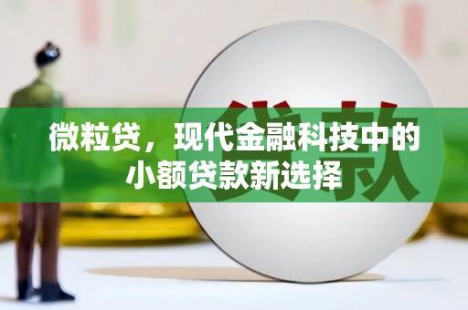 雅江微粒贷，现代金融科技中的小额贷款新选择