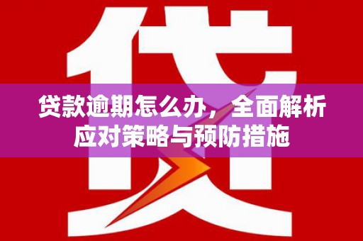 雅江贷款逾期怎么办，全面解析应对策略与预防措施