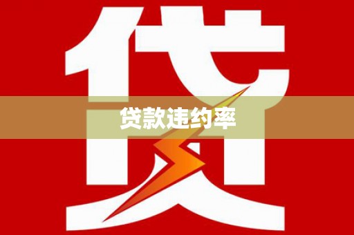 雅江贷款违约率