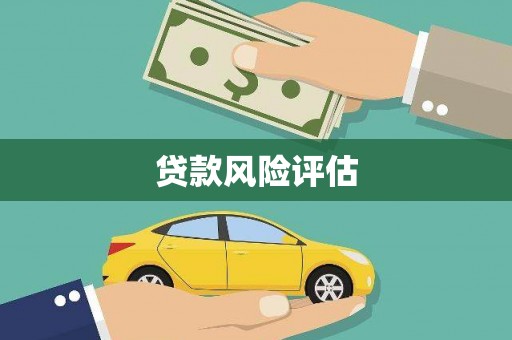 雅江贷款风险评估