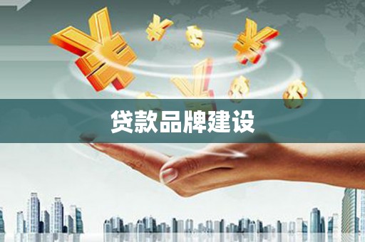 雅江贷款品牌建设