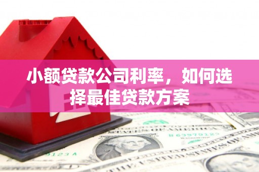 雅江小额贷款公司利率，如何选择最佳贷款方案