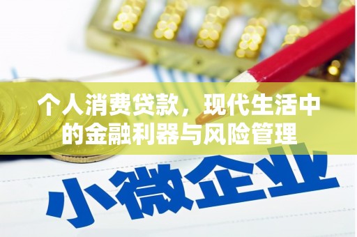 雅江个人消费贷款，现代生活中的金融利器与风险管理