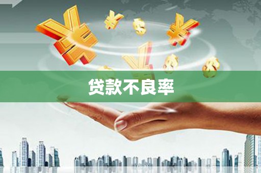 雅江贷款不良率