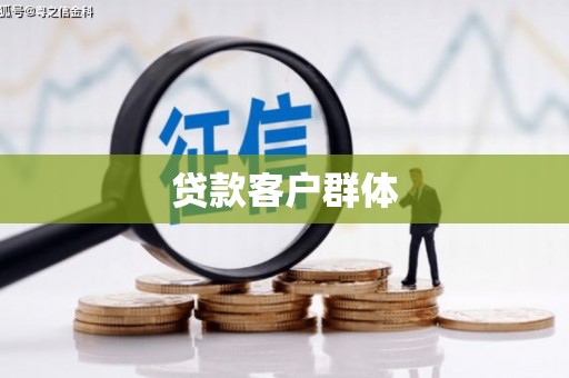 雅江贷款客户群体