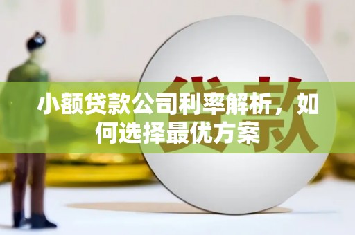 雅江小额贷款公司利率解析，如何选择最优方案