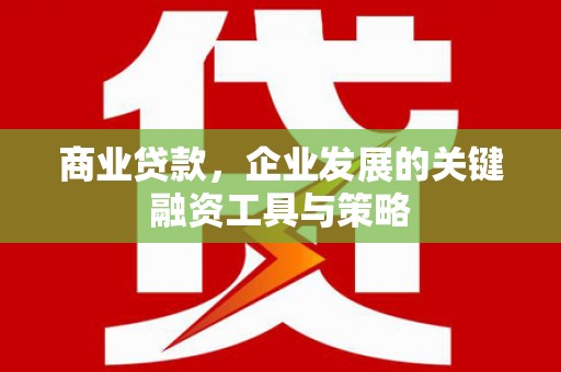 雅江商业贷款，企业发展的关键融资工具与策略