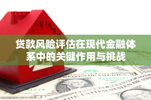 雅江贷款风险评估在现代金融体系中的关键作用与挑战