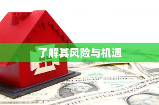 雅江了解其风险与机遇
