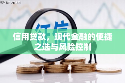 雅江信用贷款，现代金融的便捷之选与风险控制