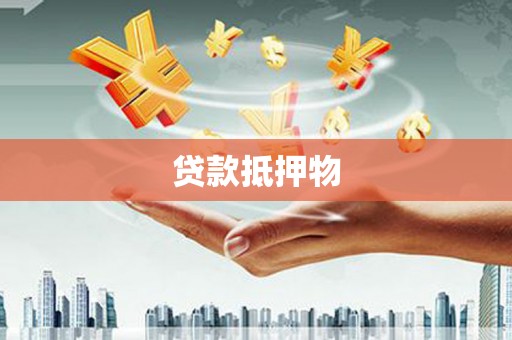 雅江贷款抵押物