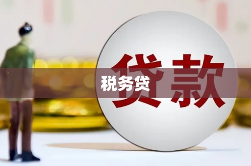 雅江税务贷