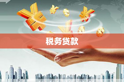 雅江税务贷款