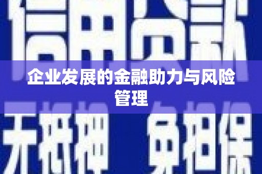 雅江企业发展的金融助力与风险管理