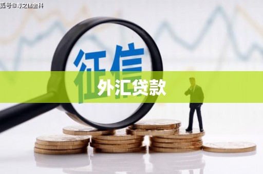 雅江外汇贷款