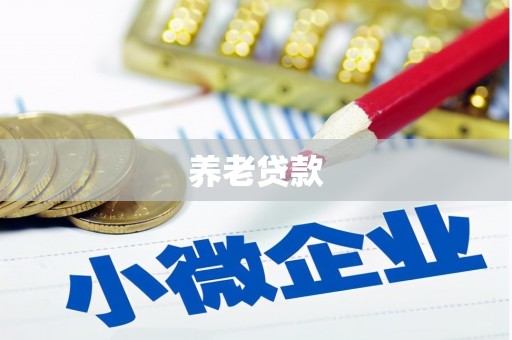 雅江养老贷款