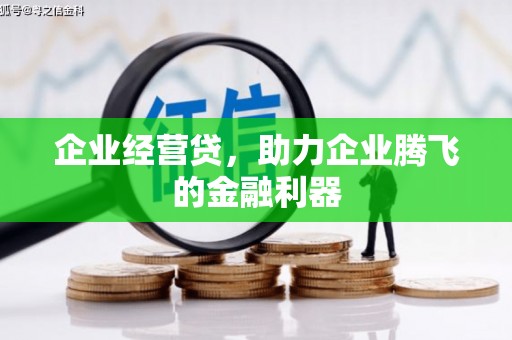 雅江企业经营贷，助力企业腾飞的金融利器