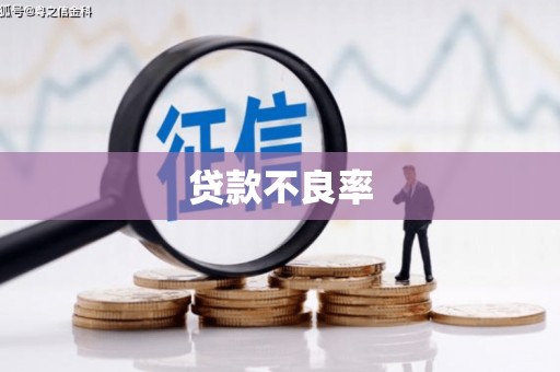 雅江贷款不良率