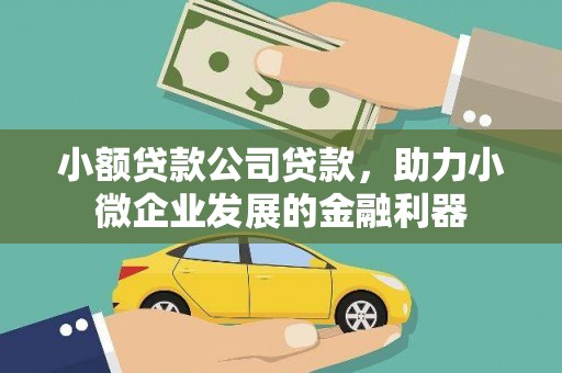 雅江小额贷款公司贷款，助力小微企业发展的金融利器