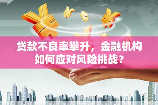 雅江贷款不良率攀升，金融机构如何应对风险挑战？