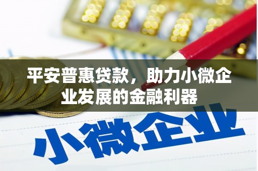 雅江平安普惠贷款，助力小微企业发展的金融利器