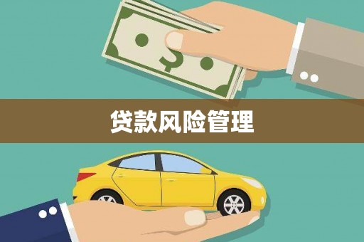 雅江贷款风险管理