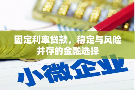 雅江固定利率贷款，稳定与风险并存的金融选择