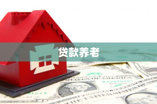 雅江贷款养老