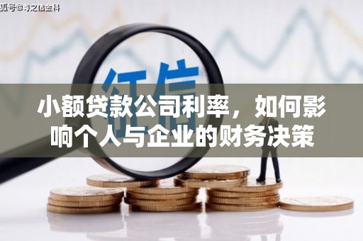 雅江小额贷款公司利率，如何影响个人与企业的财务决策
