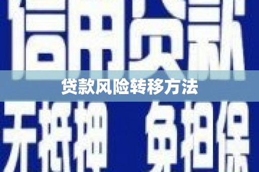 雅江贷款风险转移方法