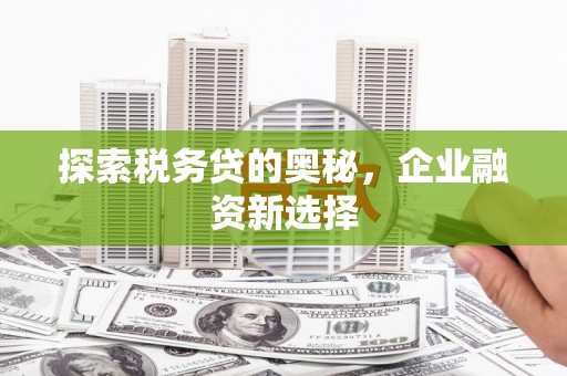 雅江探索税务贷的奥秘，企业融资新选择