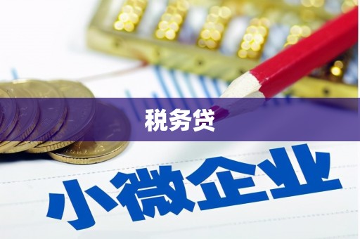 雅江税务贷