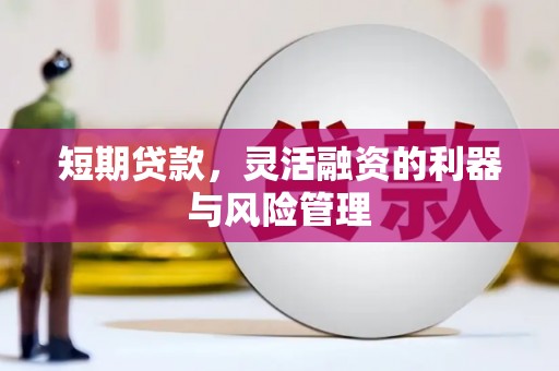 雅江短期贷款，灵活融资的利器与风险管理
