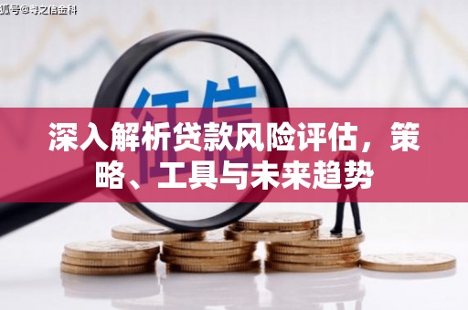 雅江深入解析贷款风险评估，策略、工具与未来趋势